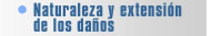 Naturaleza y extensión de los daños