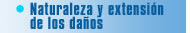 Naturaleza y extensión de los daños