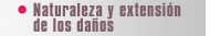 Naturaleza y extensión de los daños