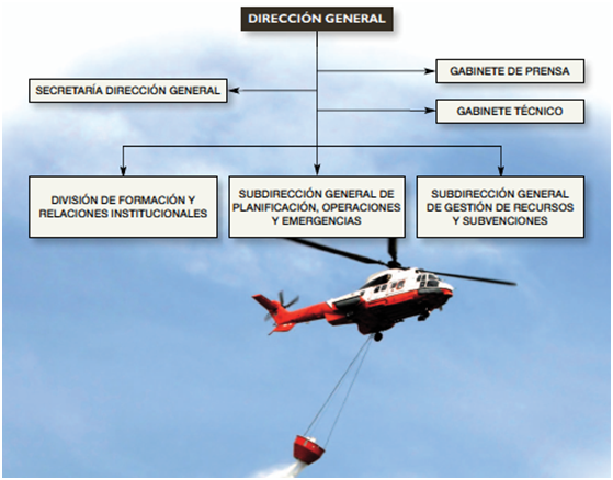 organigrama Dirección General