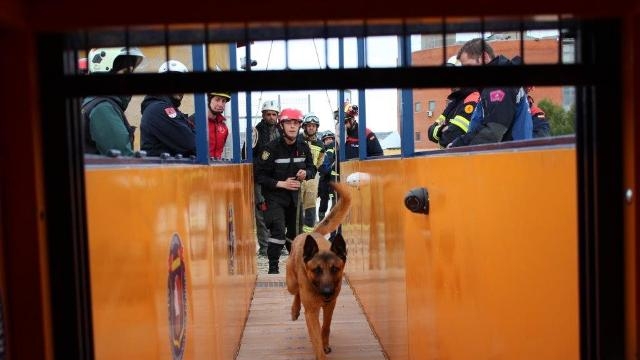 La Escuela Nacional de Protección Civil un Curso de Capacitación para Guías Caninos de Rescate - DGPCyE