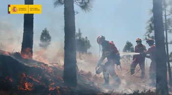 Bomberos forestales