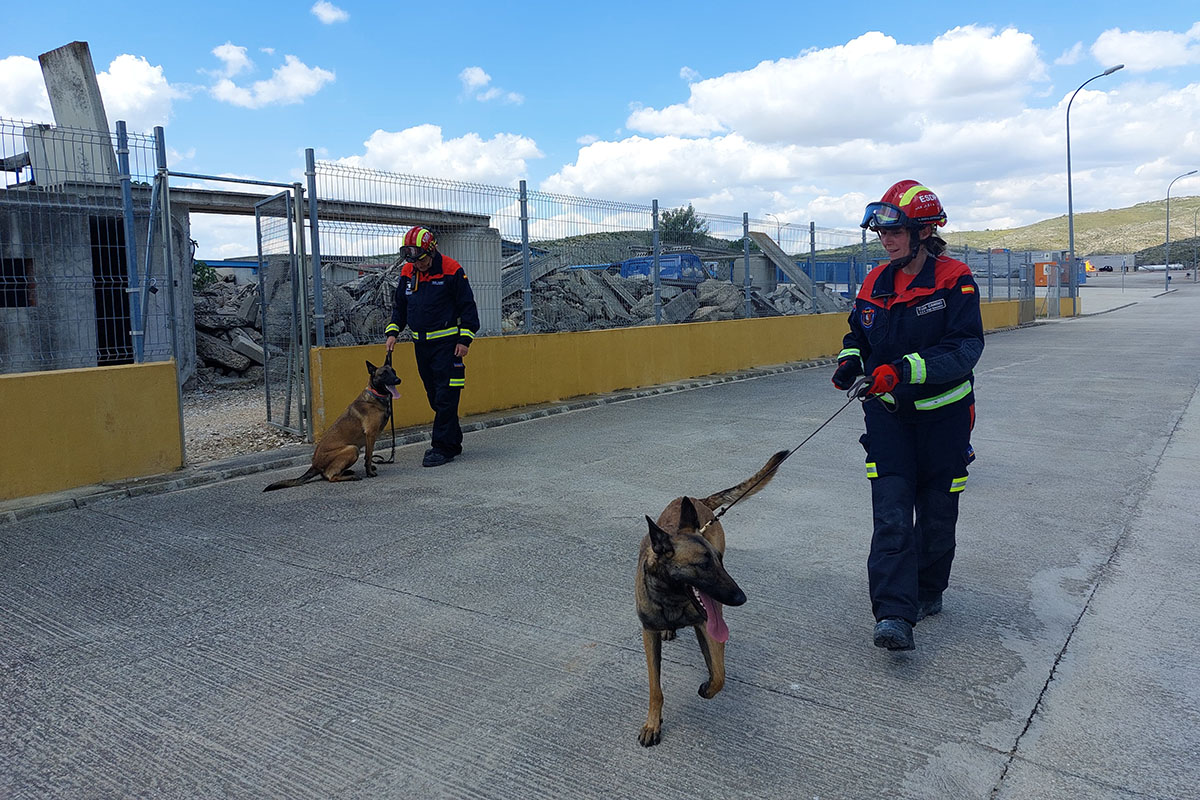 Momento del acto de firma y exhibición con perros en el campo de prácticas