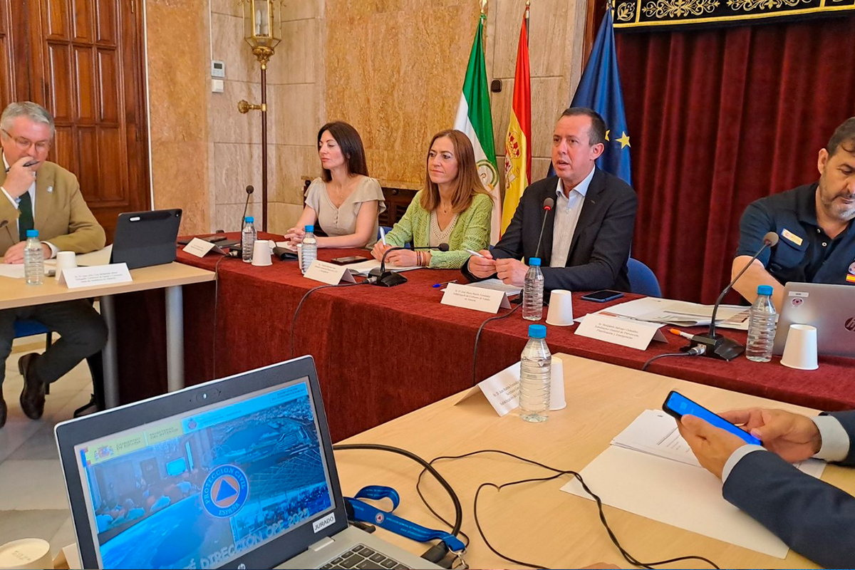 Imagen durante el comité de dirección