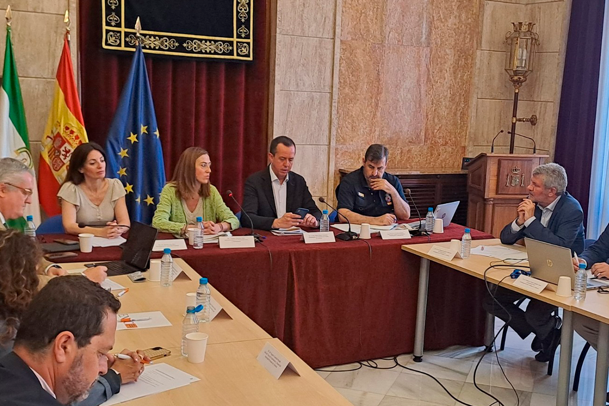 Imagen durante el comité de dirección