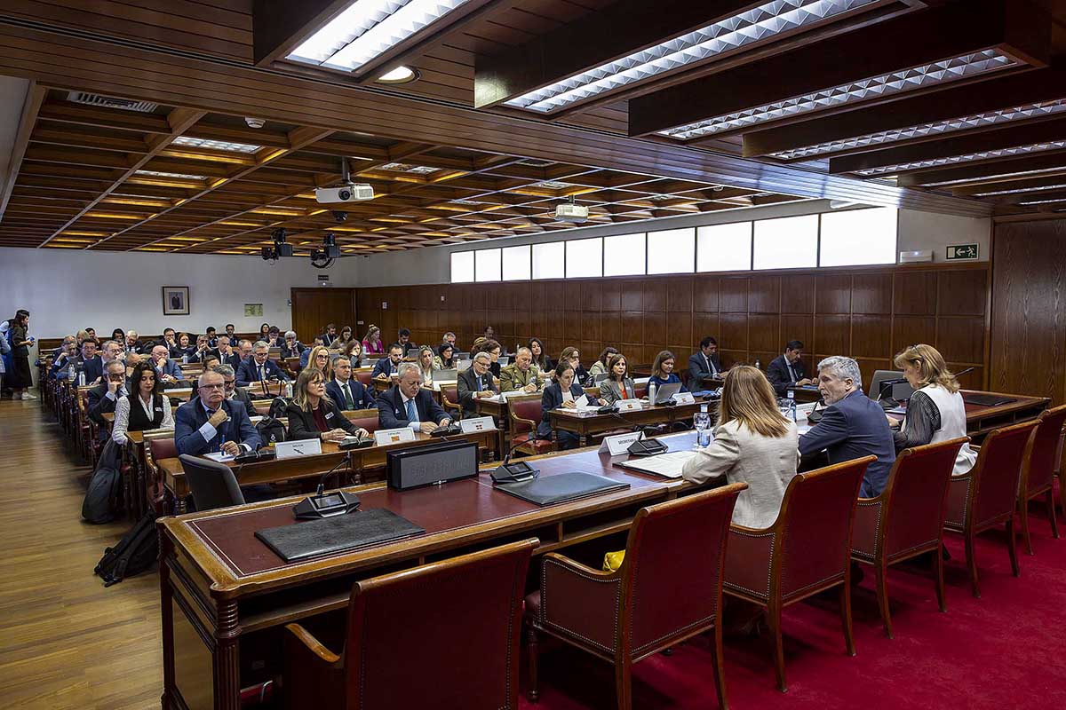 Vista general de los asistentes al Pleno.