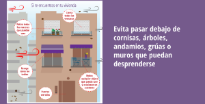Vista en miniatura