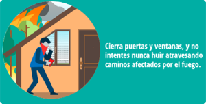 Vista en miniatura