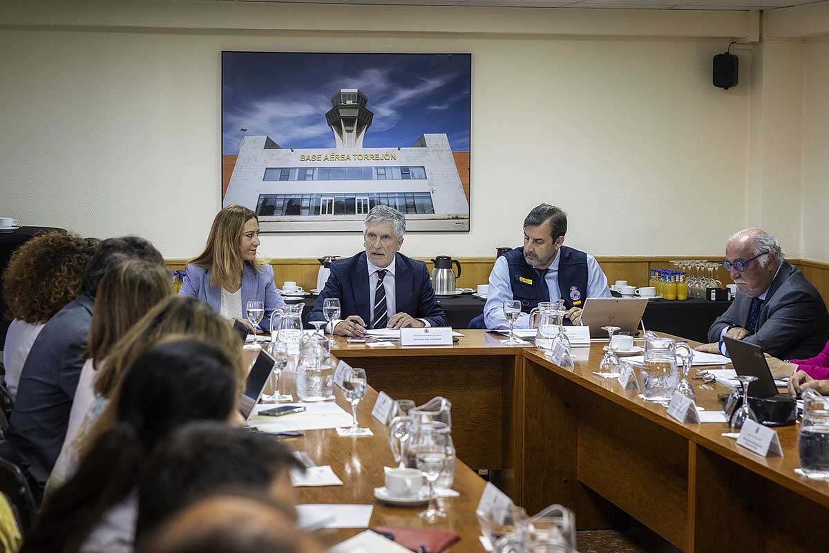 El ministro preside la reunión del CECOD.