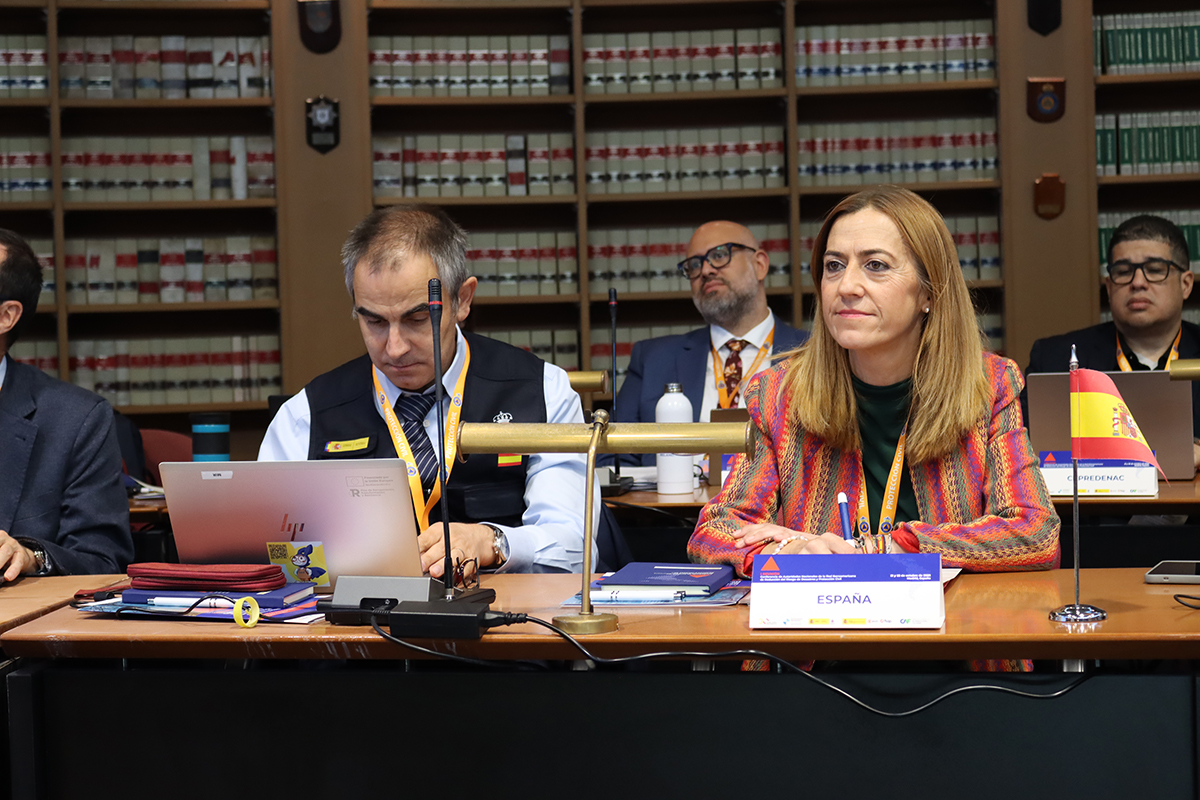 Momento de la reunión constitutiva en la Escuela Nacional de Protección Civil.