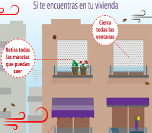 Vista en miniatura