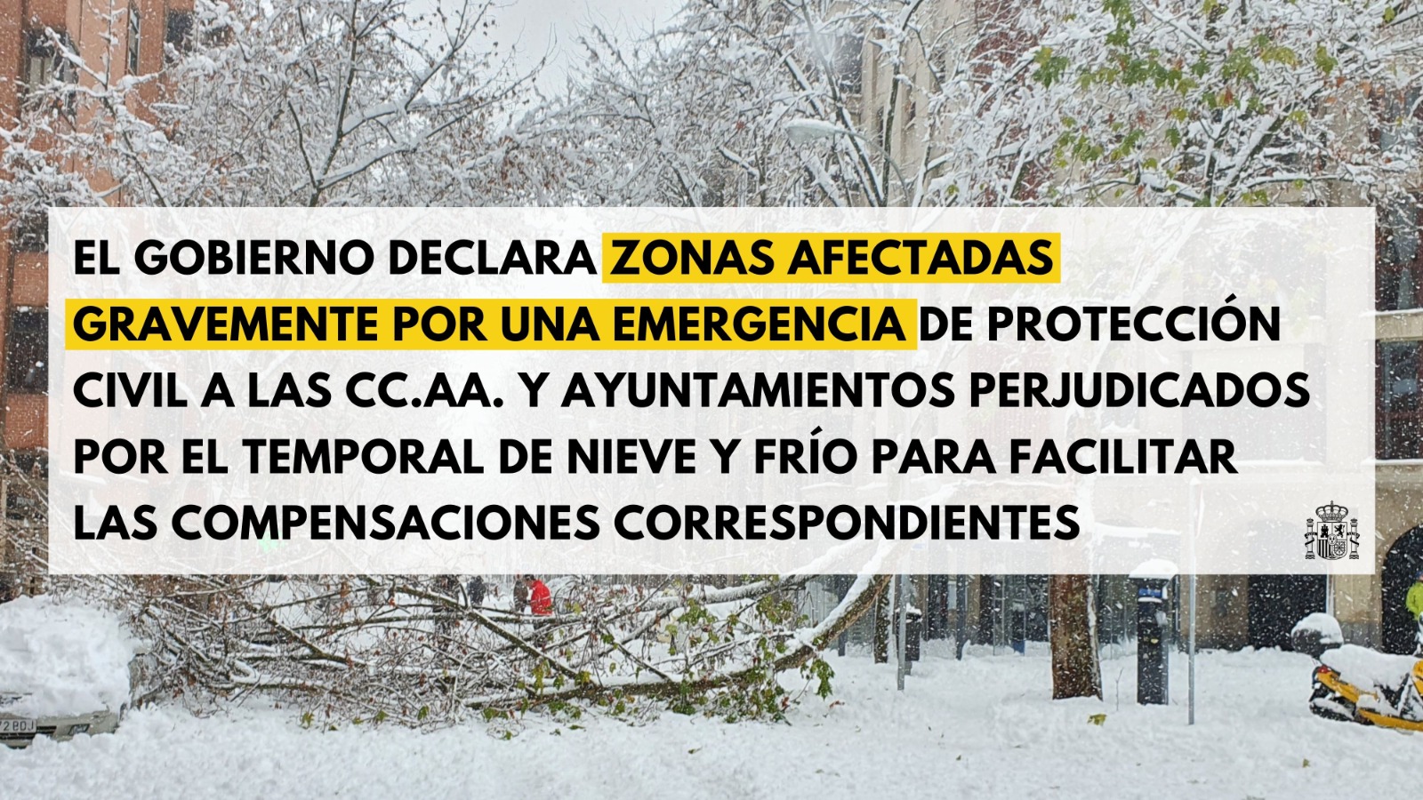 El Gobierno aprueba un primer paquete de ayudas a los damnificados por el temporal Filomena