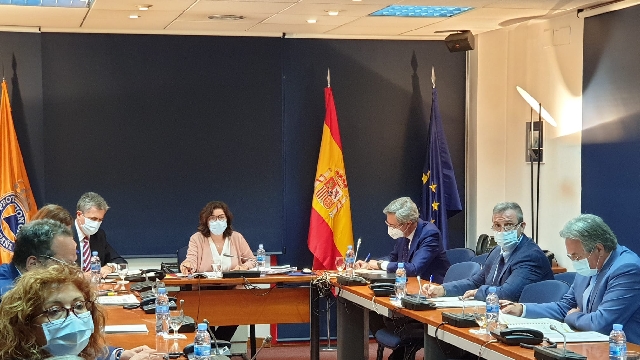 la reunión telemática de la Comisión Permanente ha estado presidida por la subsecretaria del Ministerio del Interior, Isabel Goicoechea