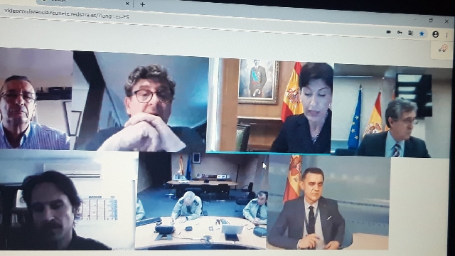 pantalla con los asistentes en la reunión online