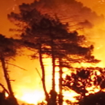 acceso a resumen informes incendios forestales