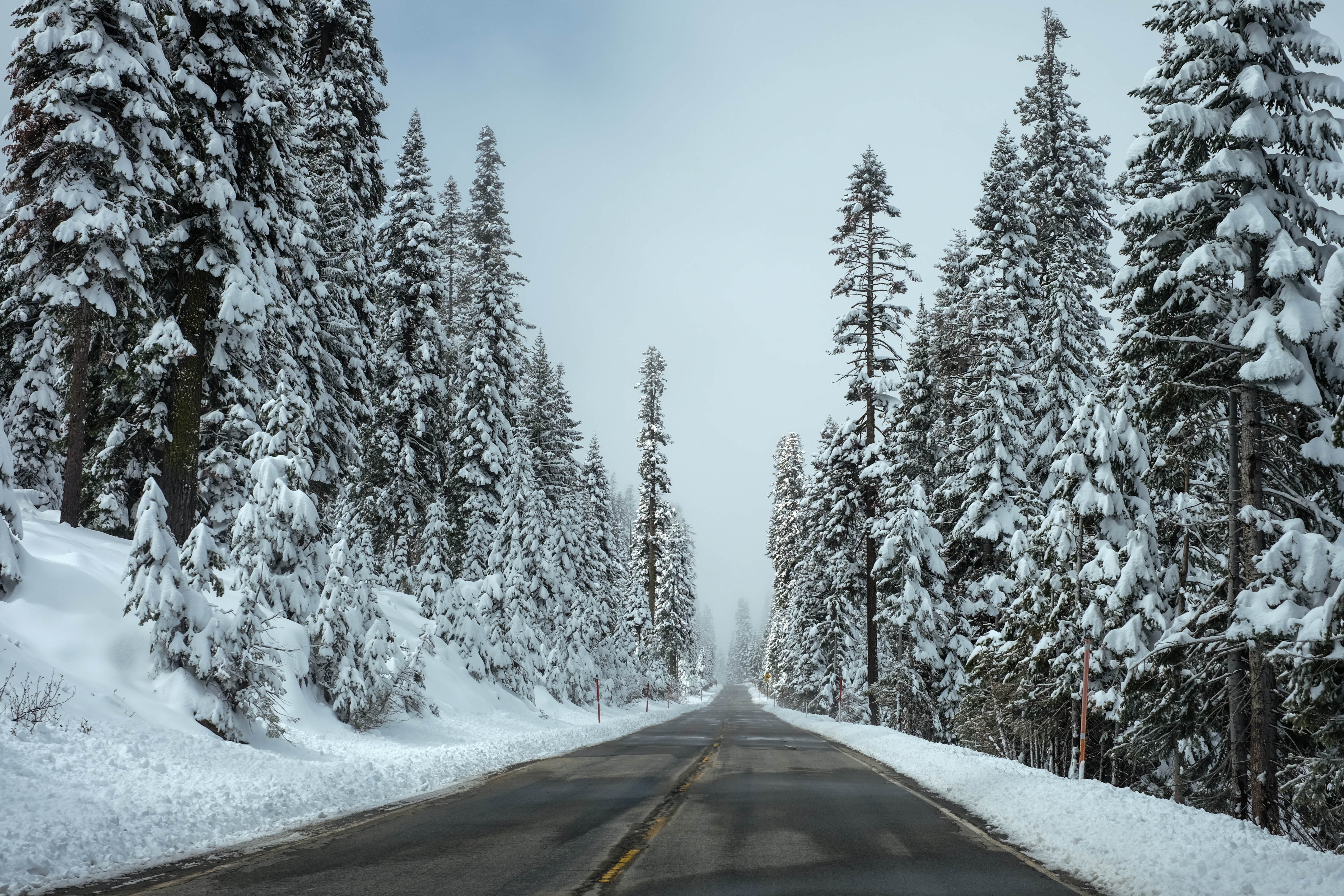 Imagen de nevadas