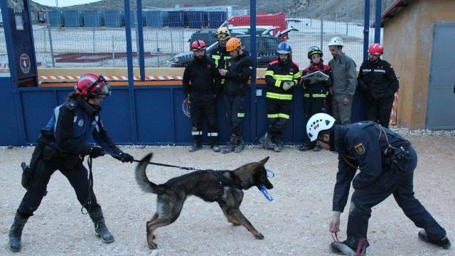 La Escuela Nacional de Protección Civil un Curso de Capacitación para Guías Caninos de Rescate - DGPCyE