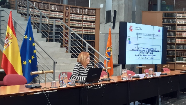 VII Curso sobre el Sistema Nacional de Protección Civil y la gestión de emergencias a nivel nacional e internacional