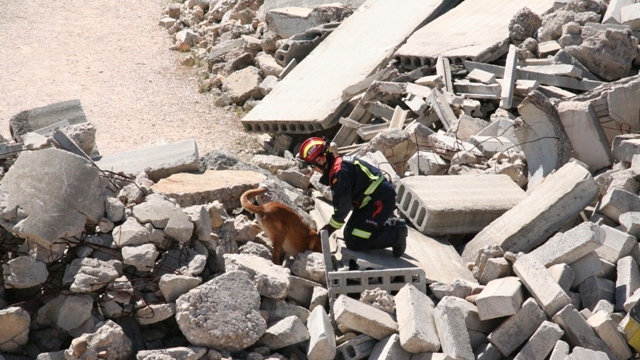 exhibición de búsqueda y rescate con perros en estructuras colapsadas
