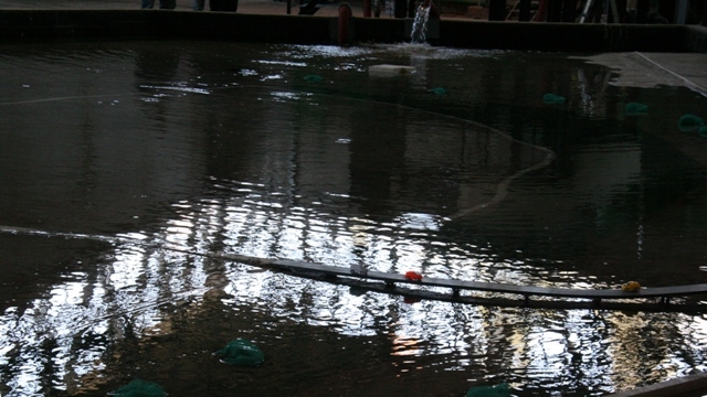simulacro de inundaciones en el centro de Estudios y Experimentación de Obras Públicas (CEDEX)