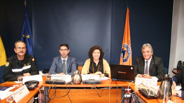 el Comité Estatal de Coordinación analiza la actuación de los organismos de la Administración General que intervendrán en el Ejercicio ECC Aragón 2019 de la Unidad Militar de Emergencias