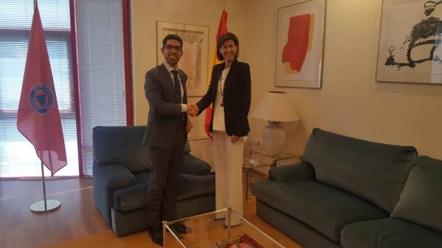 el director general de Protección Civil y Emergencias saludo a la directora general de Política de Defensa