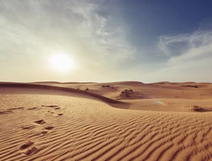 Desierto Argelia