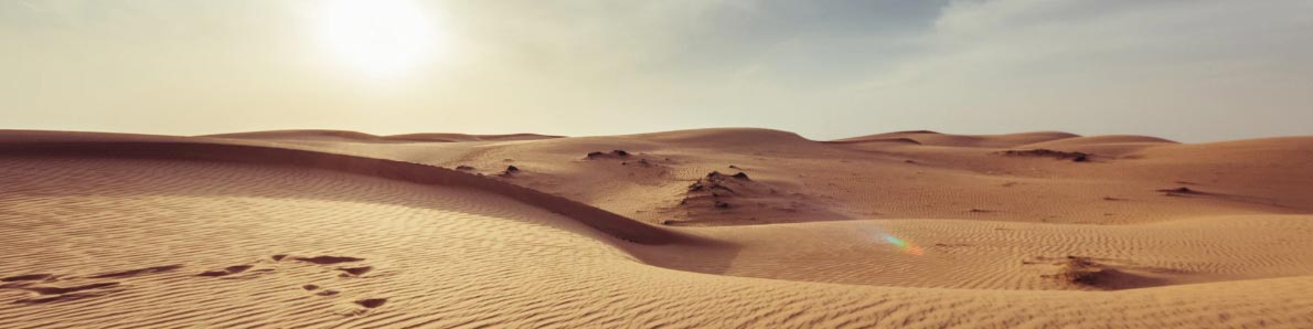 Desierto Argelia