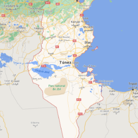 Mapa Tunez