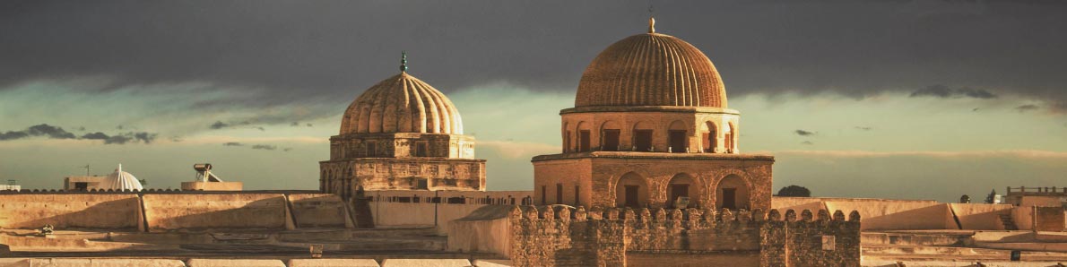 Mezquita Túnez