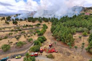 Vista en miniatura