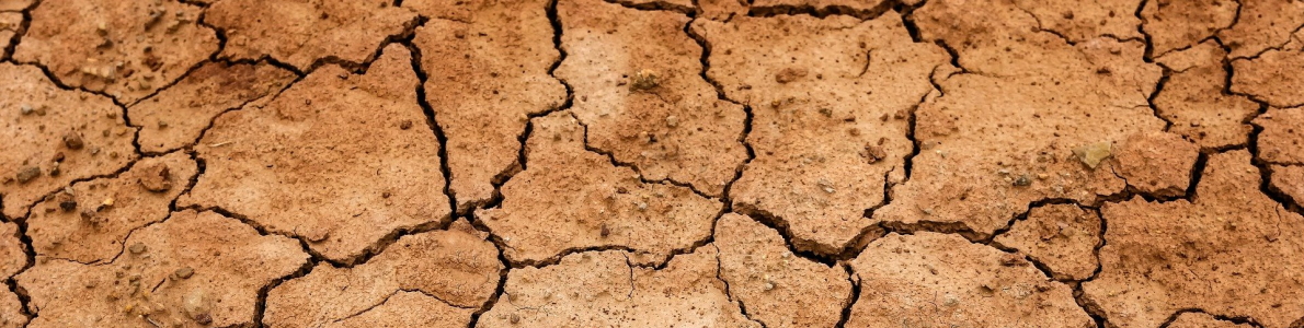 Tierra agrietada por la sequía