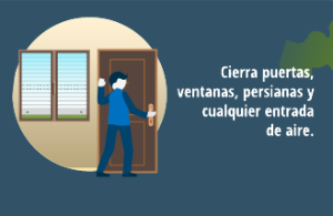 Vista en miniatura