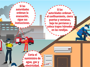 Vista en miniatura