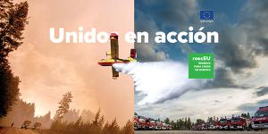 Vista en miniatura